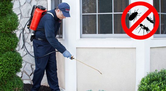 Tut Gümüşkurt İlaçlama böcek ilaçlama ve haşere kontrolü — ilaclama-tr.com